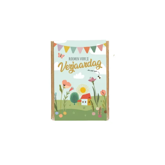 Blossombs Gift Box Mini frøbomber 4 stk fødselsdag
