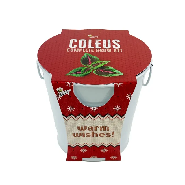 Buzzy Seeds Warm Wishes Holiday Pail dyrkningssæt paletblad