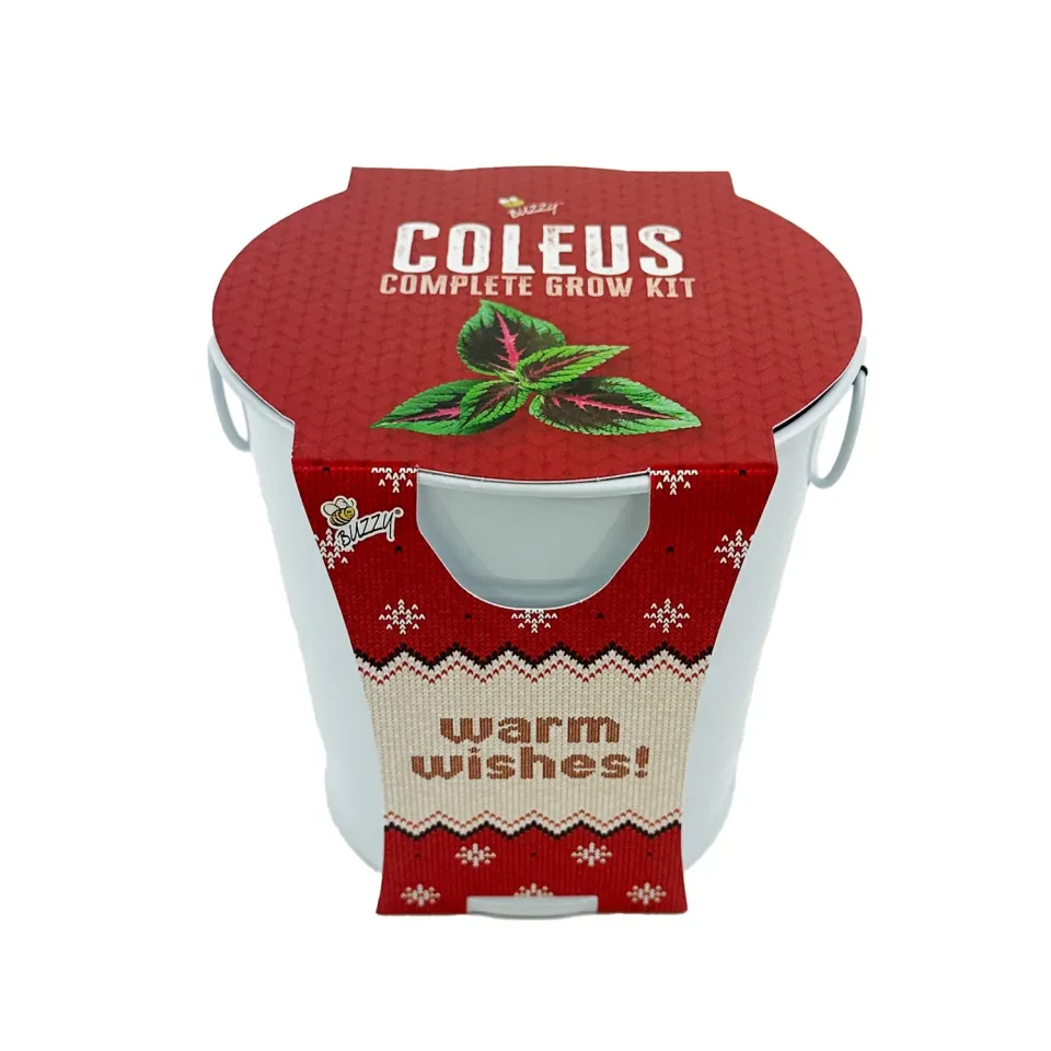 Buzzy Seeds Warm Wishes Holiday Pail dyrkningssæt paletblad