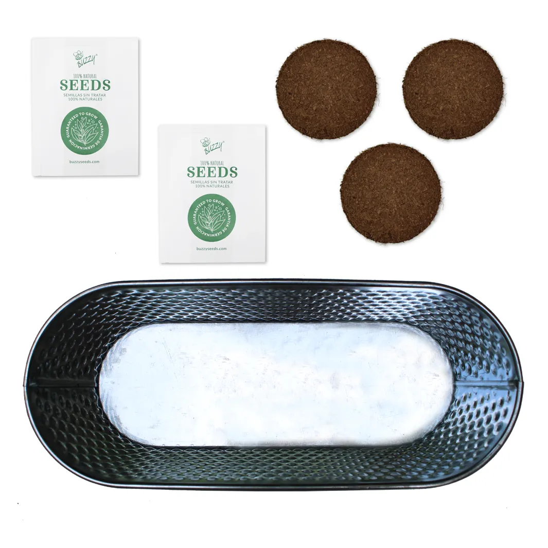 Buzzy Seeds Holiday Herb dyrkningssæt rosmarin salvie