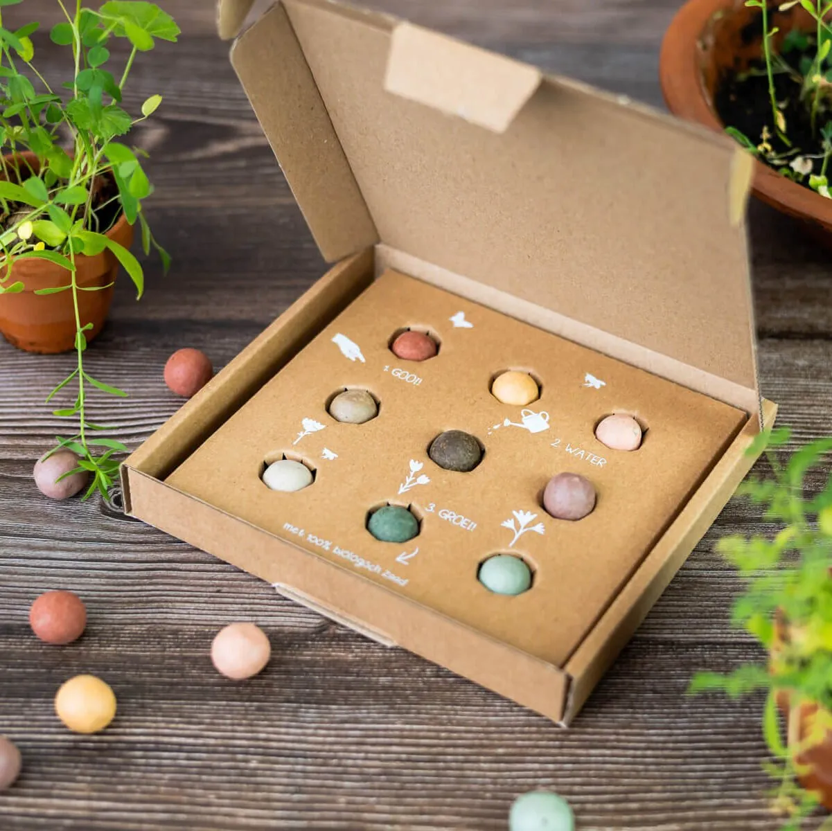 Blossombs Gift Box Medium frøbomber 9 stk farvemix