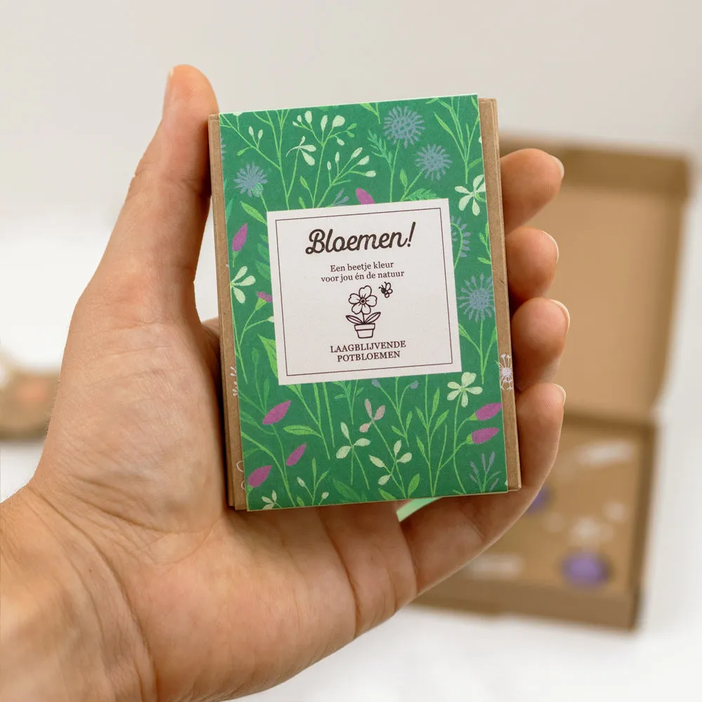 Blossombs Gift Box Mini gaveæske 4 stk lave blomster