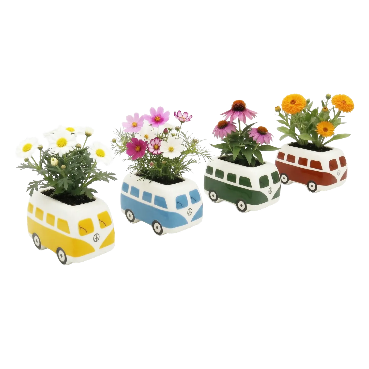 Buzzy Seeds Hippie Bus blomster dyrkningssæt 4-pak farvemix
