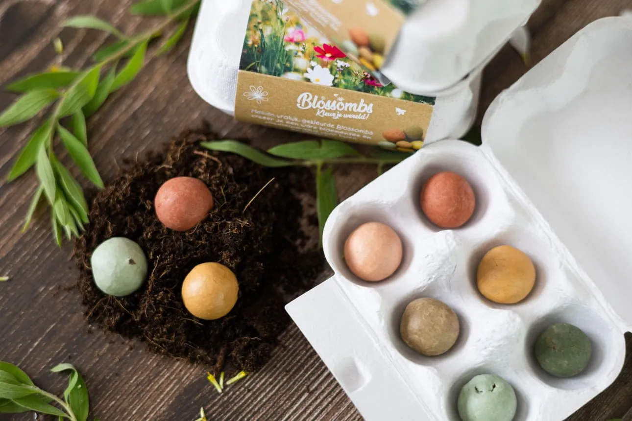 Blossombs æggebakke frøbomber 6 stk vilde blomster gave