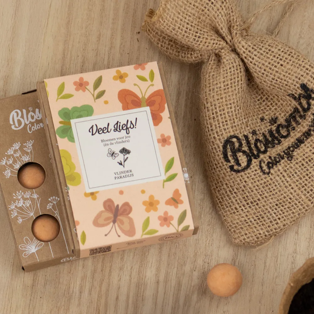 Blossombs Gift Box Mini frøbomber 4 stk sommerfuglemix