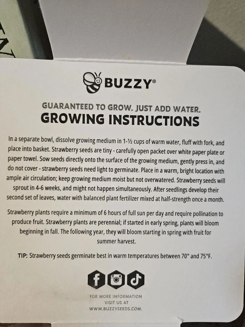 Buzzy Seeds Lavender dyrkningssæt hvid kurv duftende