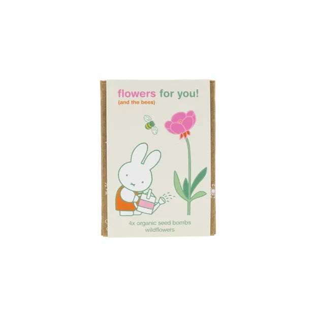 Blossombs Nijntje Mini gaveæske 4 frøbomber vilde blomster