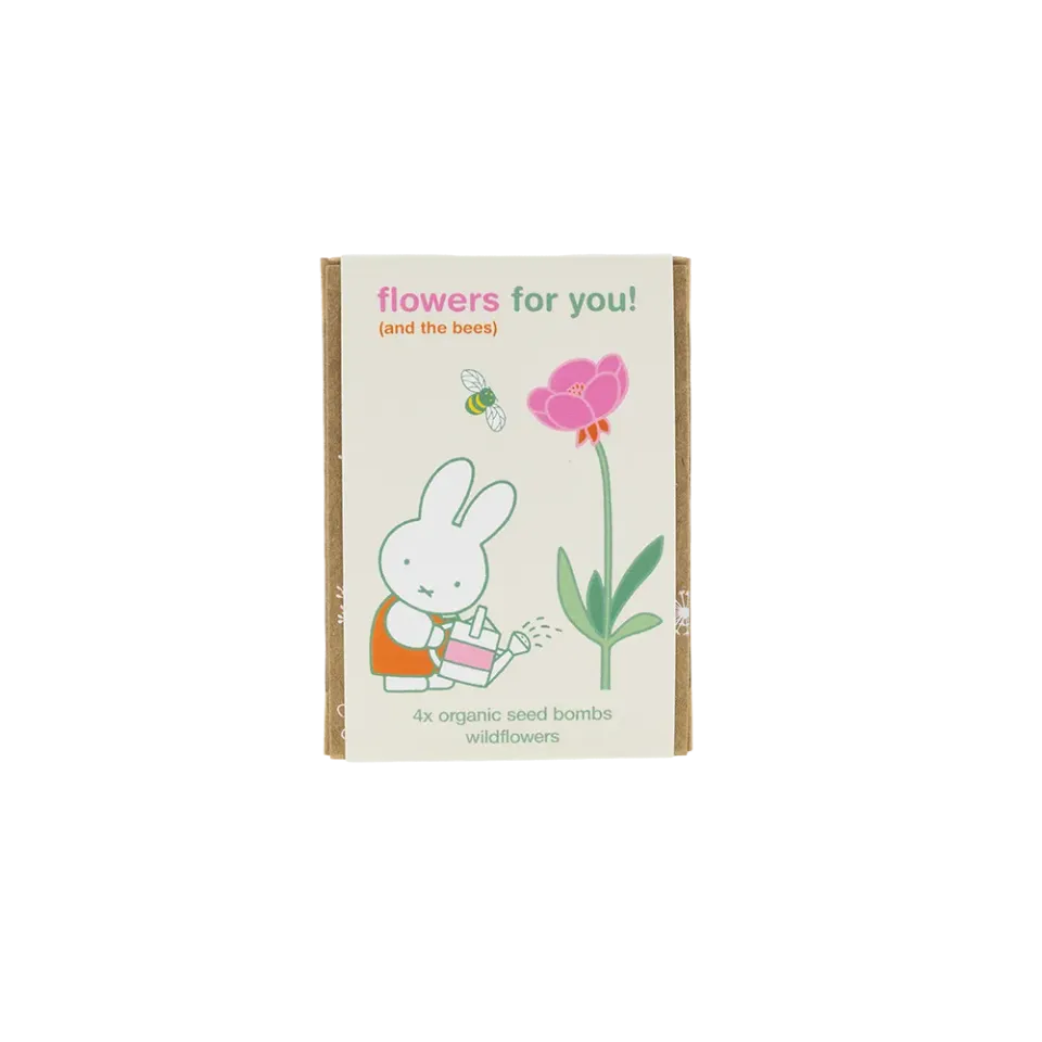 Blossombs Nijntje Mini gaveæske 4 frøbomber vilde blomster
