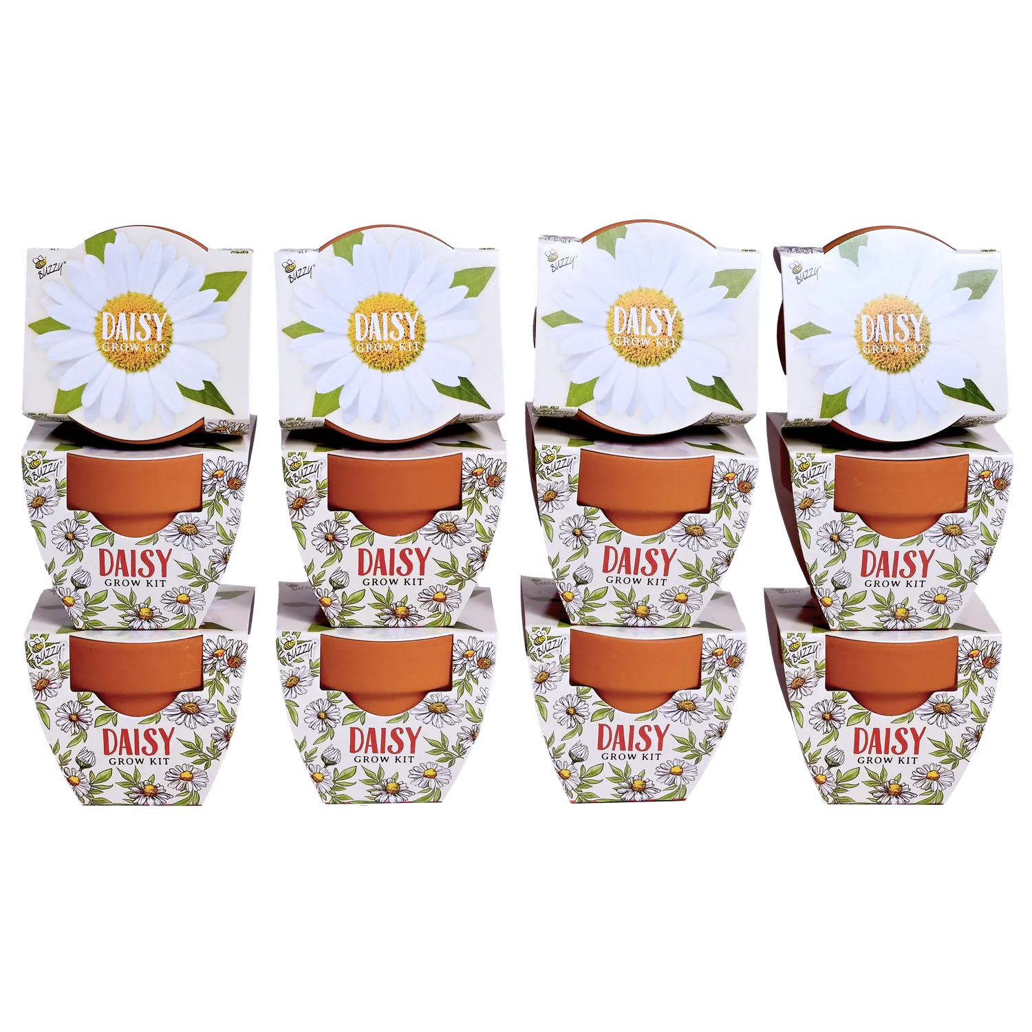 Buzzy Seeds Daydream marguerit dyrkningssæt 12-pak hvid