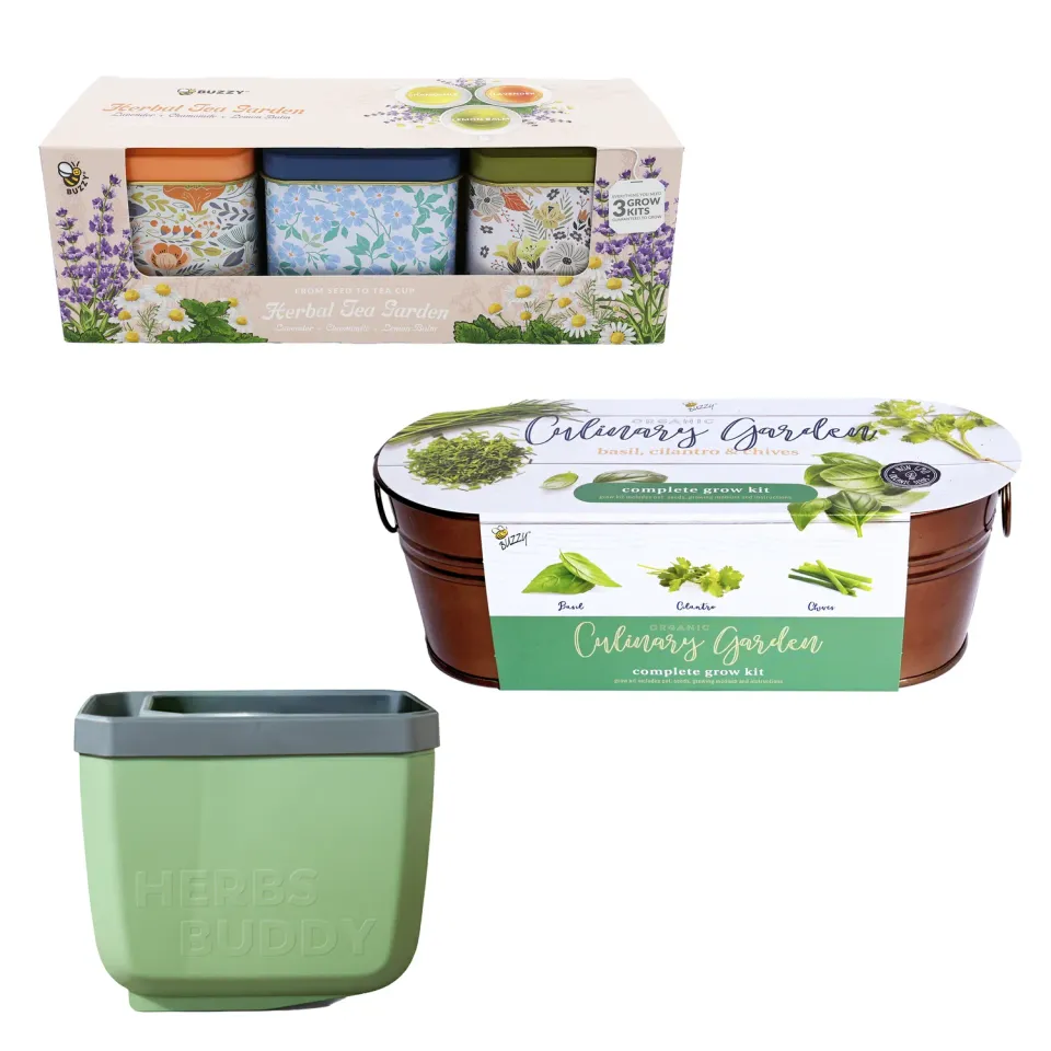 Buzzy Seeds Foodie urtesæt tekrydder 3-delt bundle