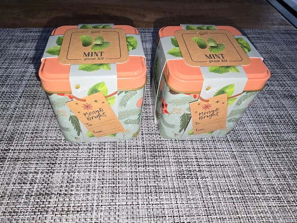 Buzzy Seeds Holiday Mint dyrkningssæt 2 dåser mynte