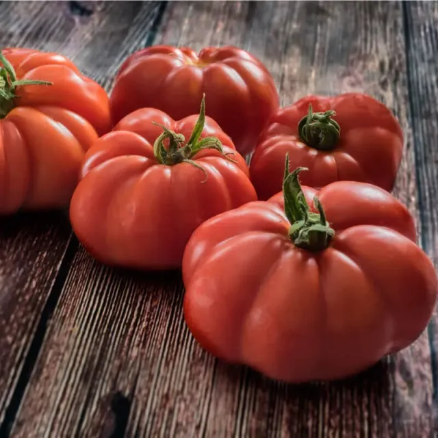 Natureseeds Marmande VR bøftomatfrø 10 frø