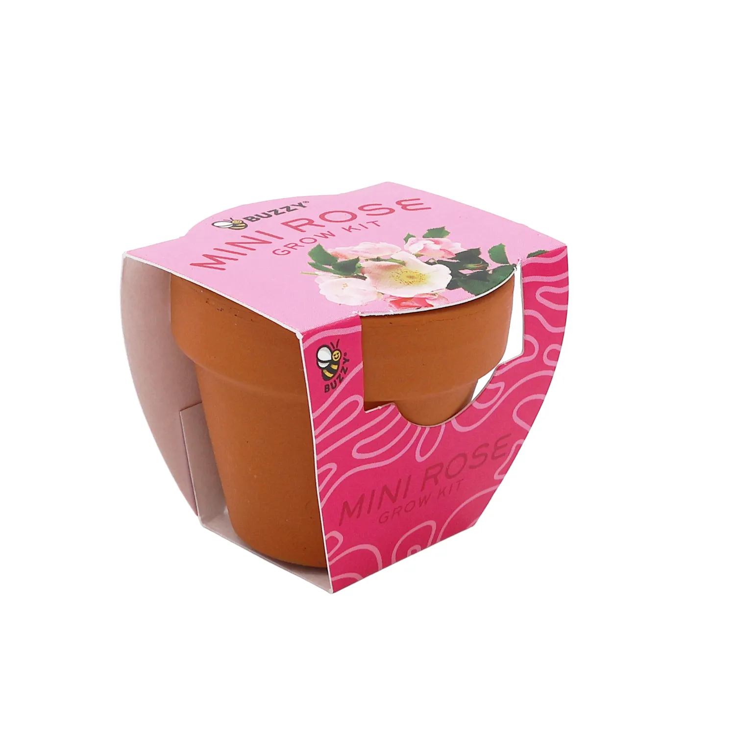 Buzzy Seeds Bright dyrkningssæt 12 stk mini rose