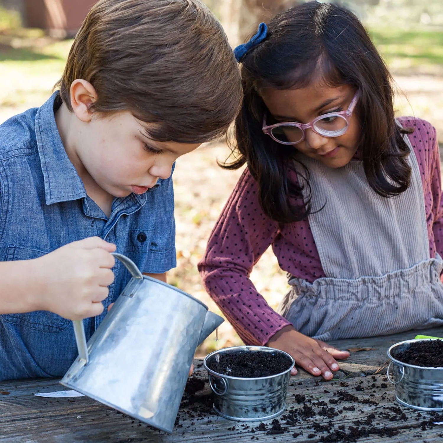 Buzzy Seeds Kids Strawberry dyrkningssæt mini basin jordbær