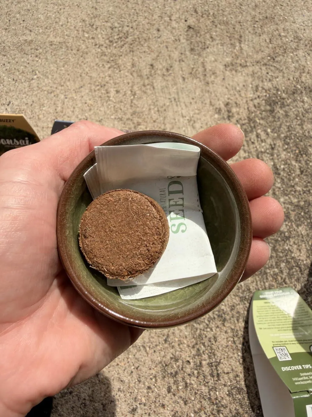 Buzzy Seeds Tea Garden tedyrkningssæt 3-pak urter
